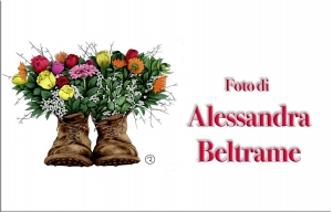 Alessandra Beltrame