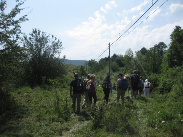 img_4652.jpg