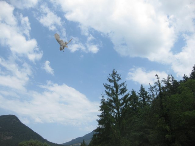 img_4676.jpg