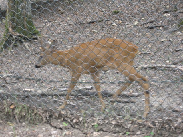img_4682.jpg