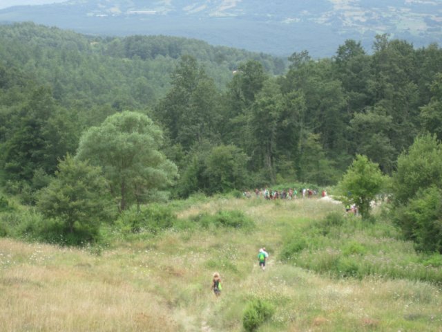 img_4691.jpg