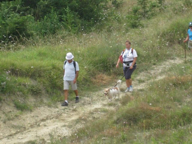 img_4692.jpg