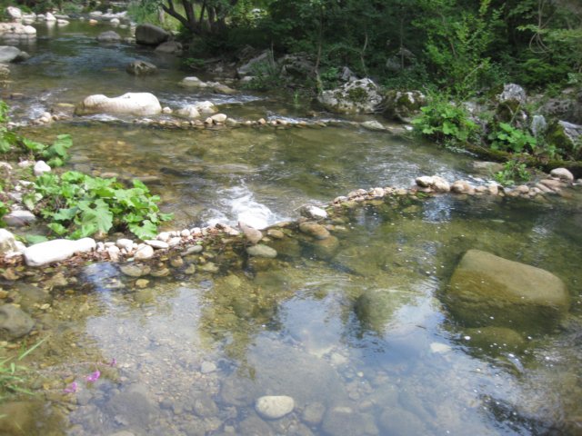 img_4789.jpg