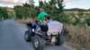 _193548_small.jpg