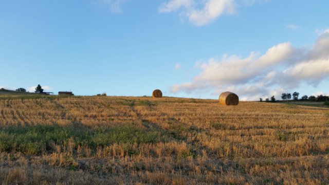_193831.jpg