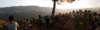_192603_small.jpg