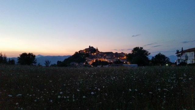_203203.jpg