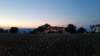 _203203_small.jpg