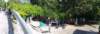 _163554_small.jpg