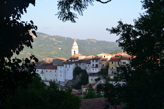 dsc_3700.jpg