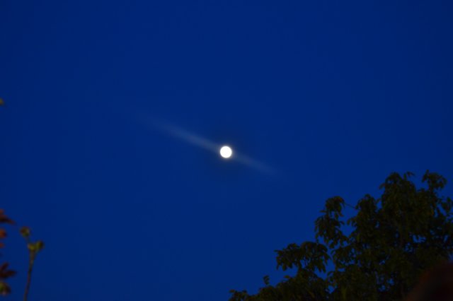 dsc_3714.jpg