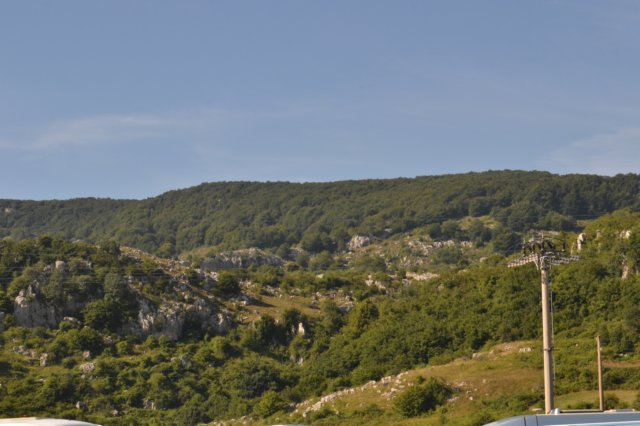 dsc_3342.jpg