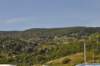 dsc_3342_small.jpg