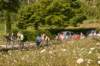 dsc_3343_small.jpg