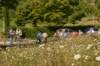 dsc_3344_small.jpg