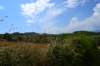 dsc_3853_small.jpg