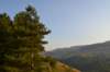 dsc_3942_small.jpg
