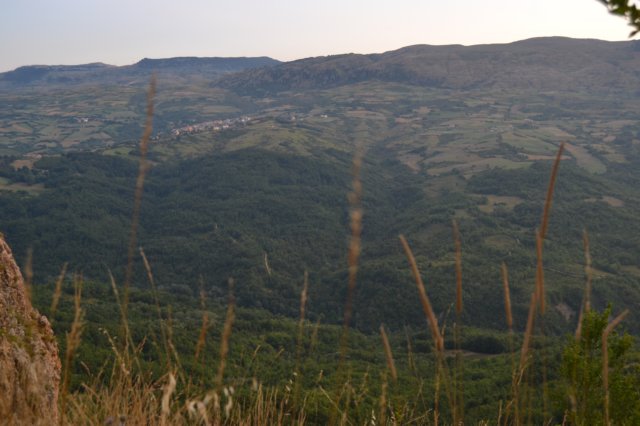 dsc_4036.jpg
