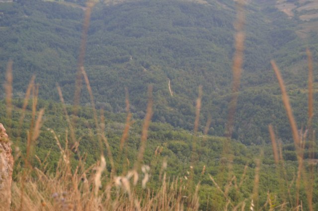 dsc_4039.jpg