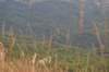 dsc_4039_small.jpg