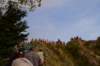 dsc_4043_small.jpg