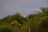 dsc_4071_small.jpg