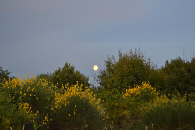 dsc_4081.jpg