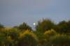 dsc_4081_small.jpg