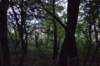 dsc_4082_small.jpg