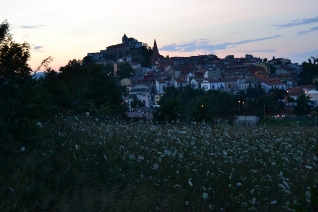 dsc_4085.jpg