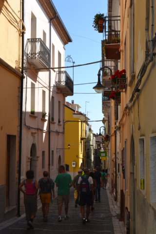dsc_3779.jpg