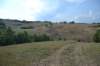dsc_3868_small.jpg