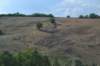 dsc_3869_small.jpg