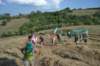 dsc_3894_small.jpg