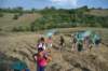 dsc_3895_small.jpg