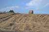 dsc_3896_small.jpg