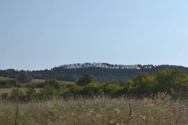 dsc_3898.jpg