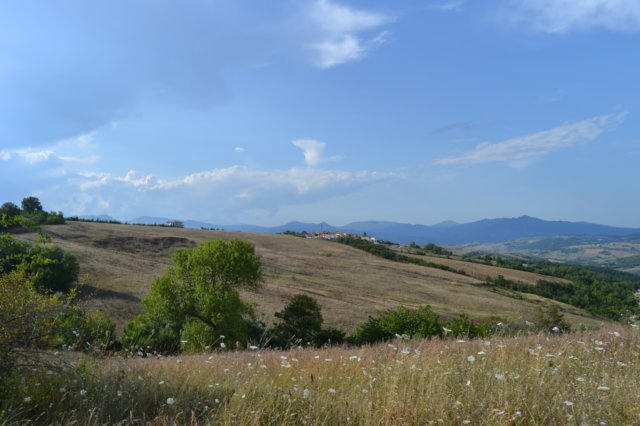 dsc_3902.jpg