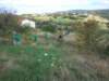 dsc00402_small.jpg