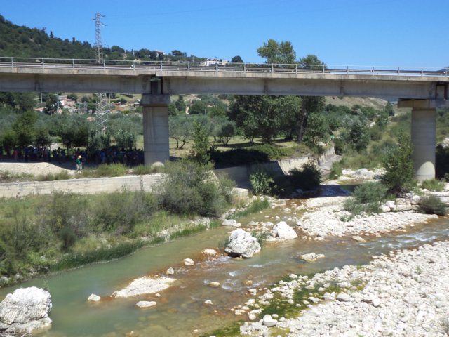dsc00413.jpg