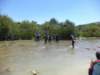dsc00415_small.jpg