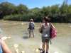 dsc00416_small.jpg