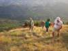 dsc00480_small.jpg