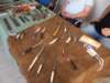 dsc00465_small.jpg