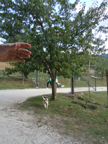 dscn9770.jpg