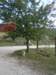 dscn9770_small.jpg
