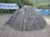dscn9791_small.jpg