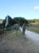 dscn9792_small.jpg