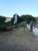 dscn9793_small.jpg