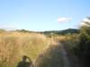 dscn9799_small.jpg